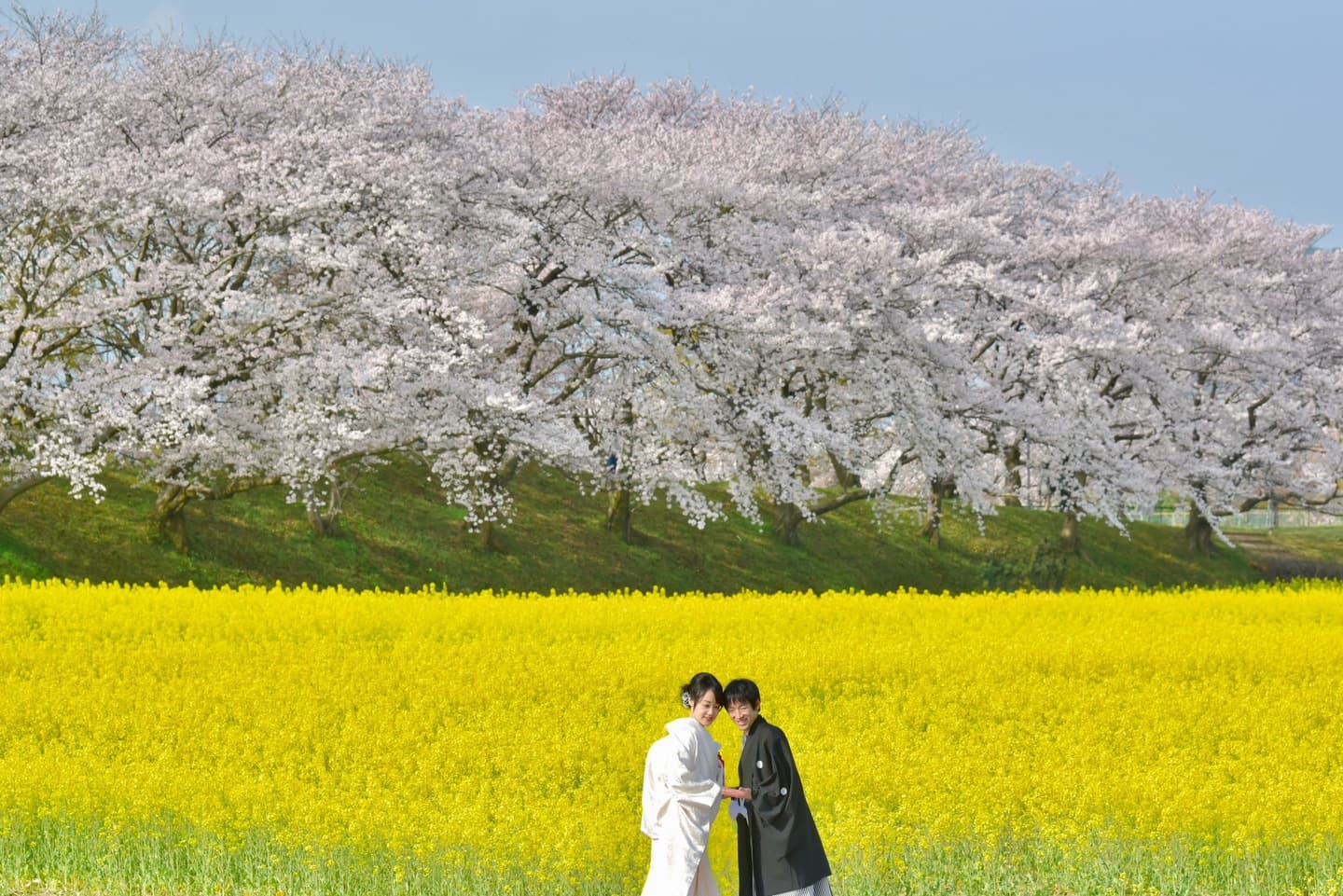 奈良でフォトウエディングの花嫁