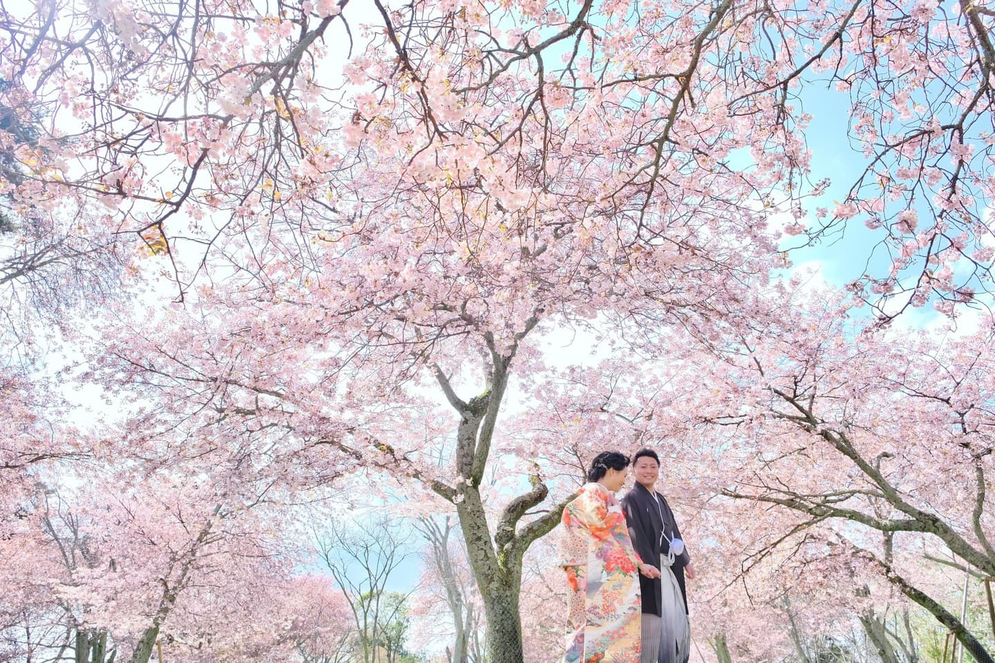 奈良でフォトウエディングの花嫁