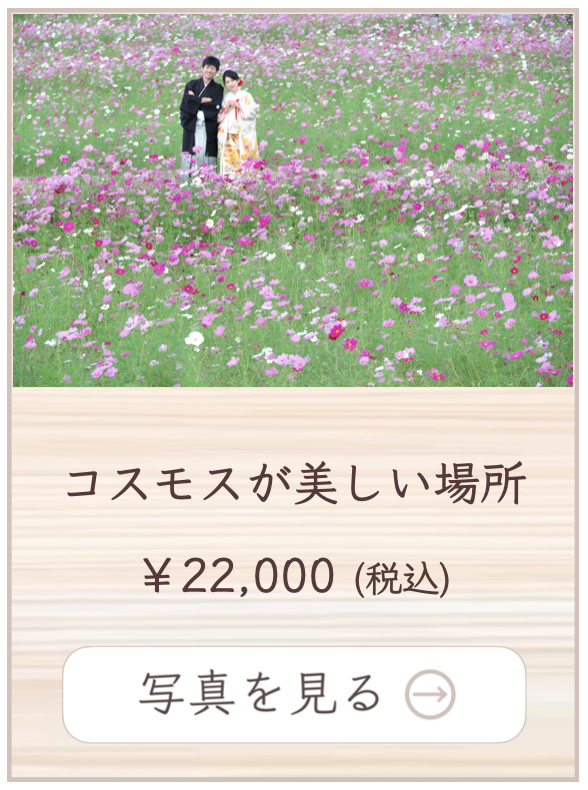 コスモスでの撮影料金