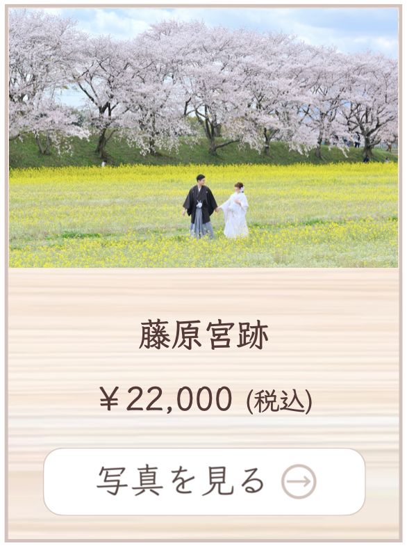 藤原宮跡での撮影料金