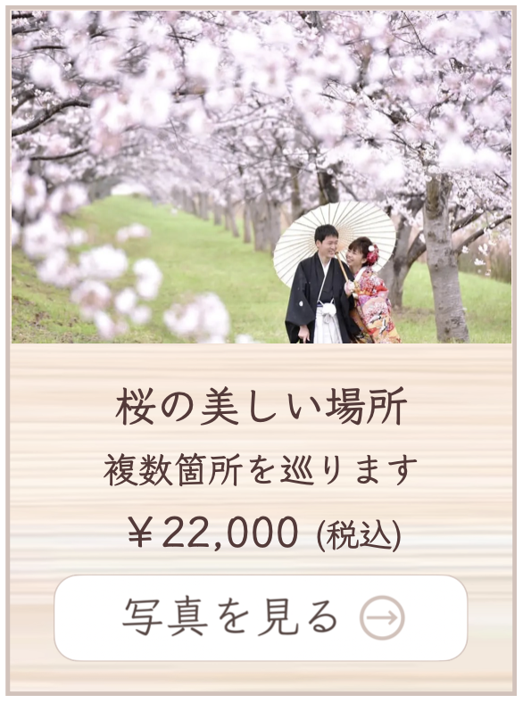 桜の美しい場所での撮影料金