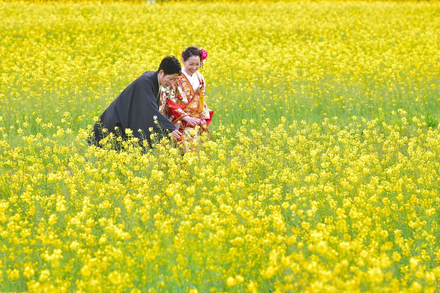 和装着物を着た花嫁様と紋付羽織袴の新郎様の写真