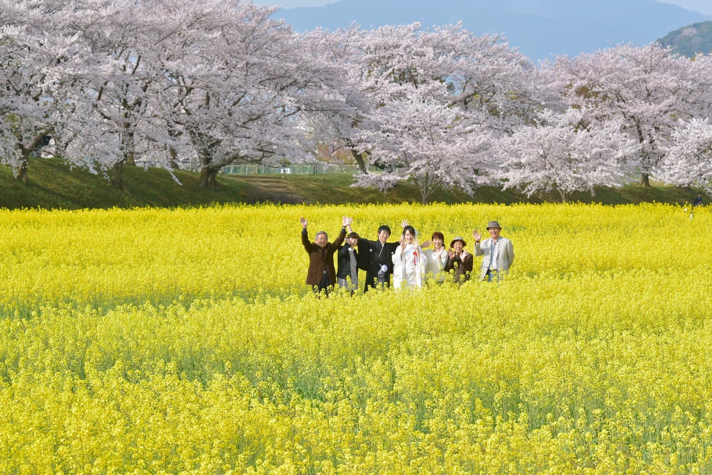 和装着物を着た花嫁様と紋付羽織袴の新郎様の写真
