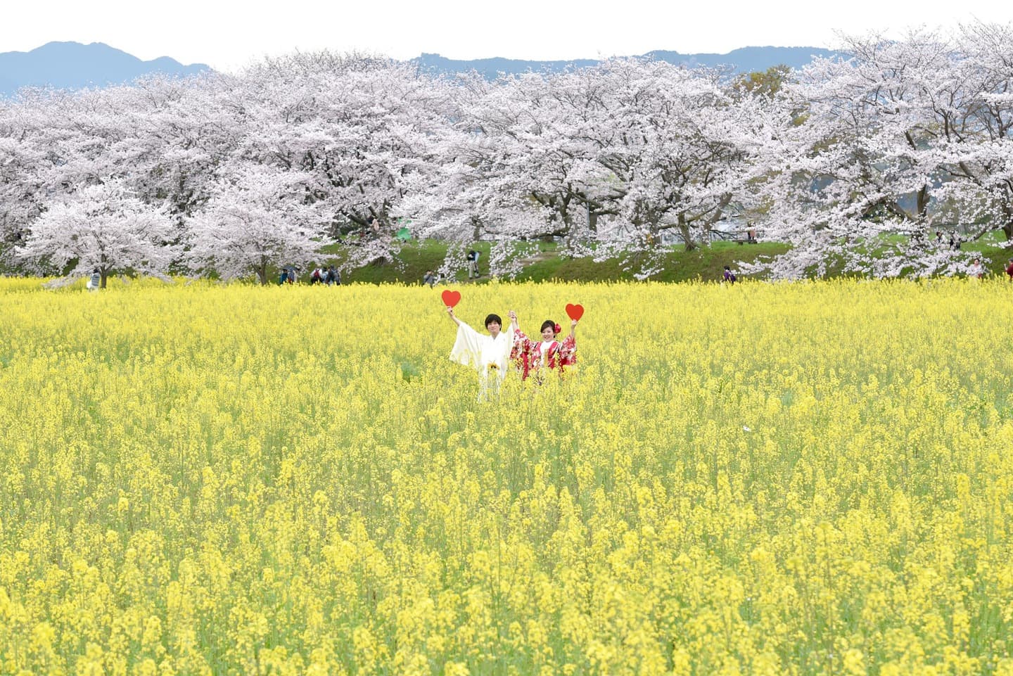 和装着物を着た花嫁様と紋付羽織袴の新郎様の写真