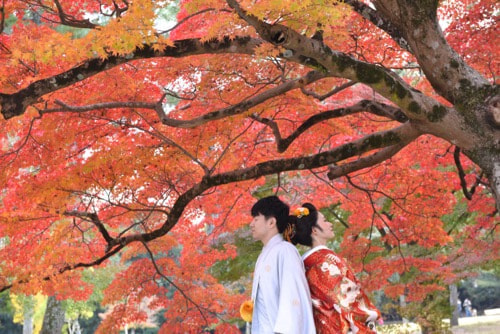 結婚式の前撮りを奈良で和装の新郎新婦