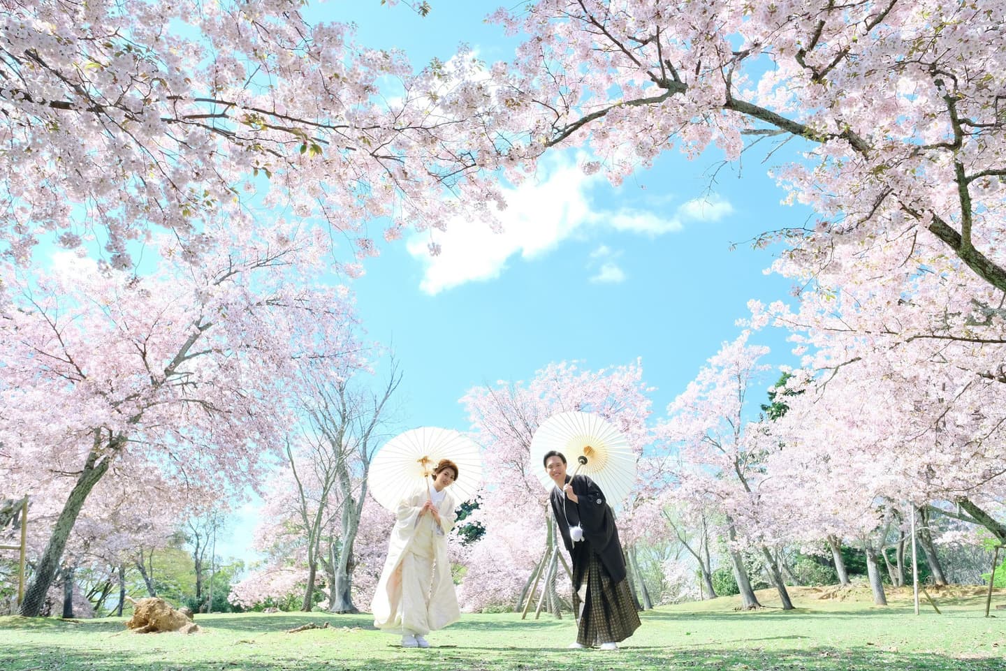 奈良で和装前撮りフォトウェディングの写真