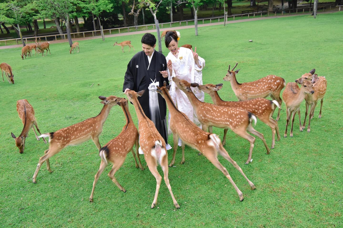 奈良で和装前撮りフォトウェディングの花嫁