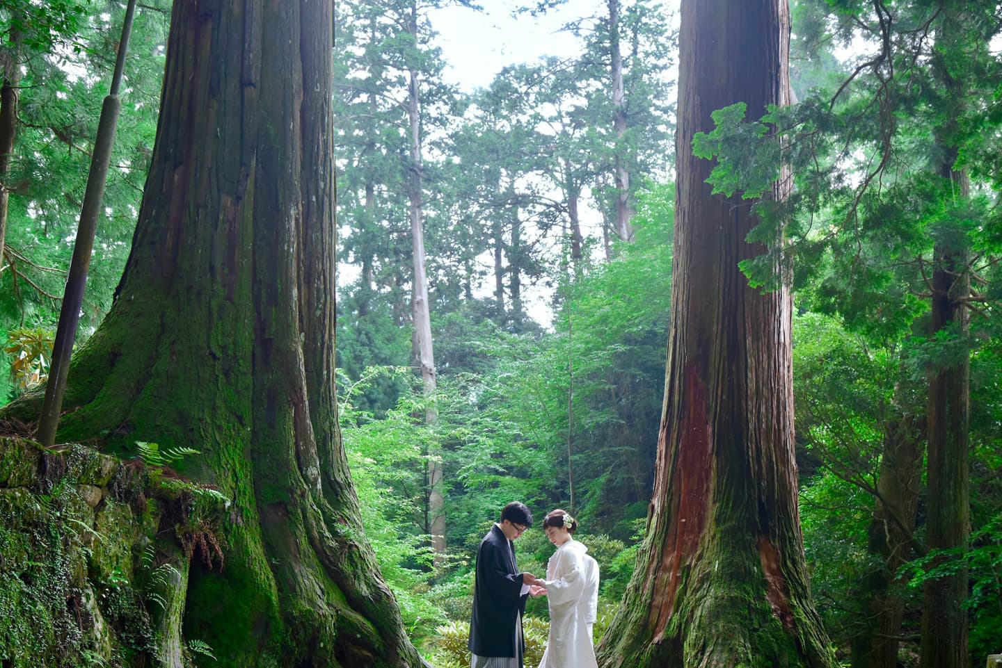 奈良で和装前撮りフォトウェディングの写真