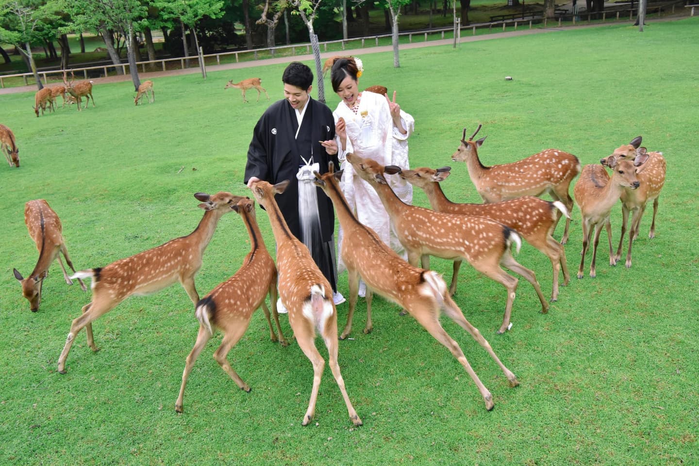 奈良で和装前撮りフォトウェディングの写真