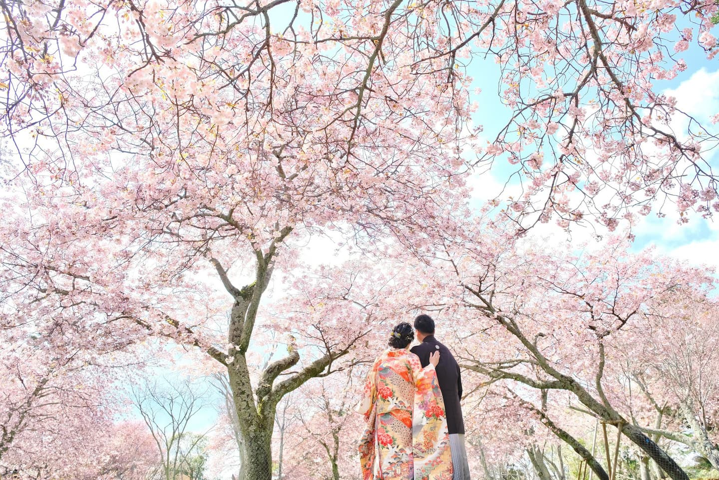 奈良で和装前撮りフォトウェディングの写真