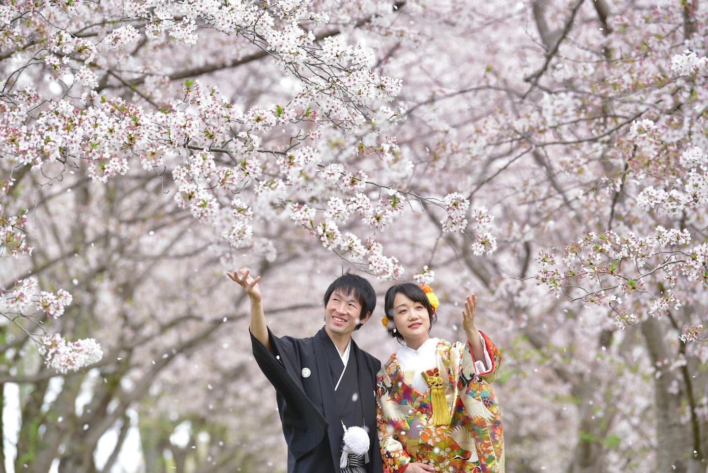 奈良公園の桜でフォトウエディングのカップル