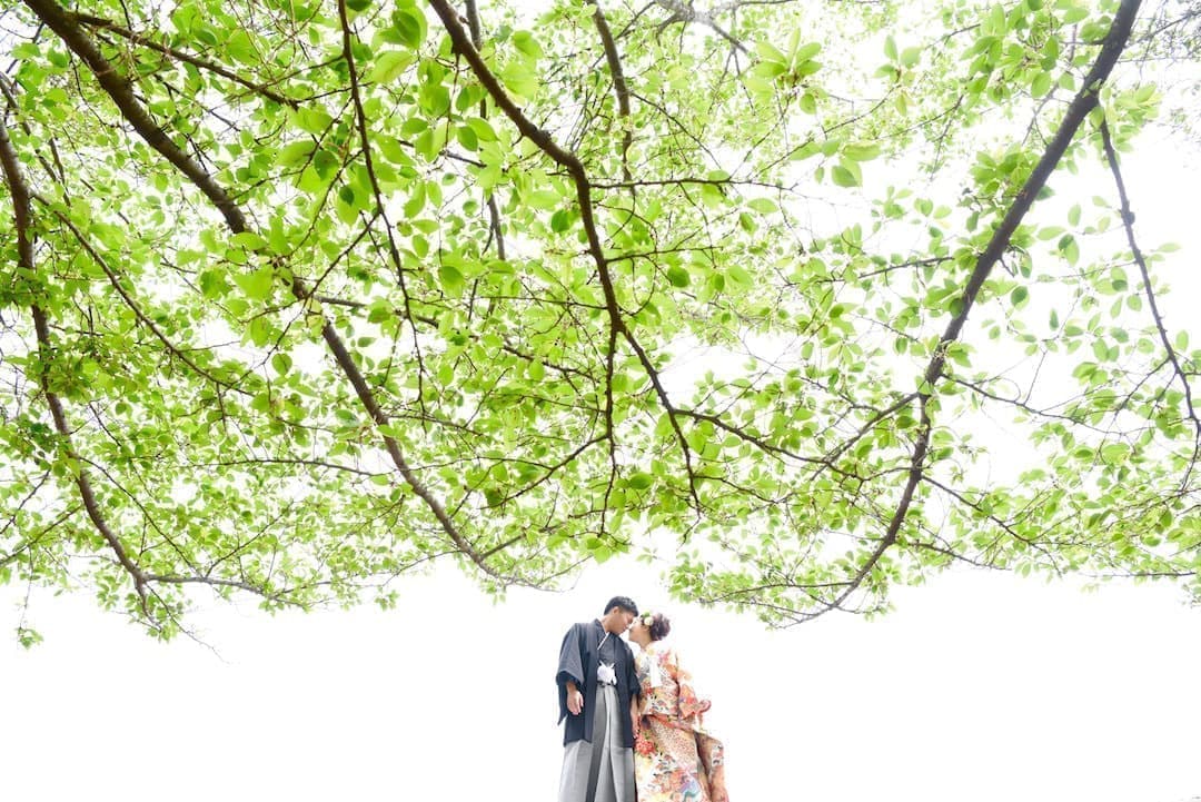 奈良の新緑で和装前撮りフォトウェディングの写真