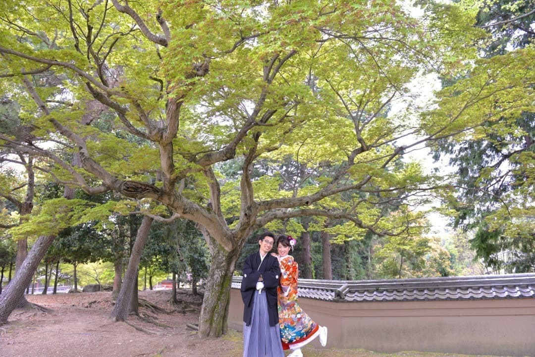奈良の新緑で和装前撮りフォトウェディングの写真