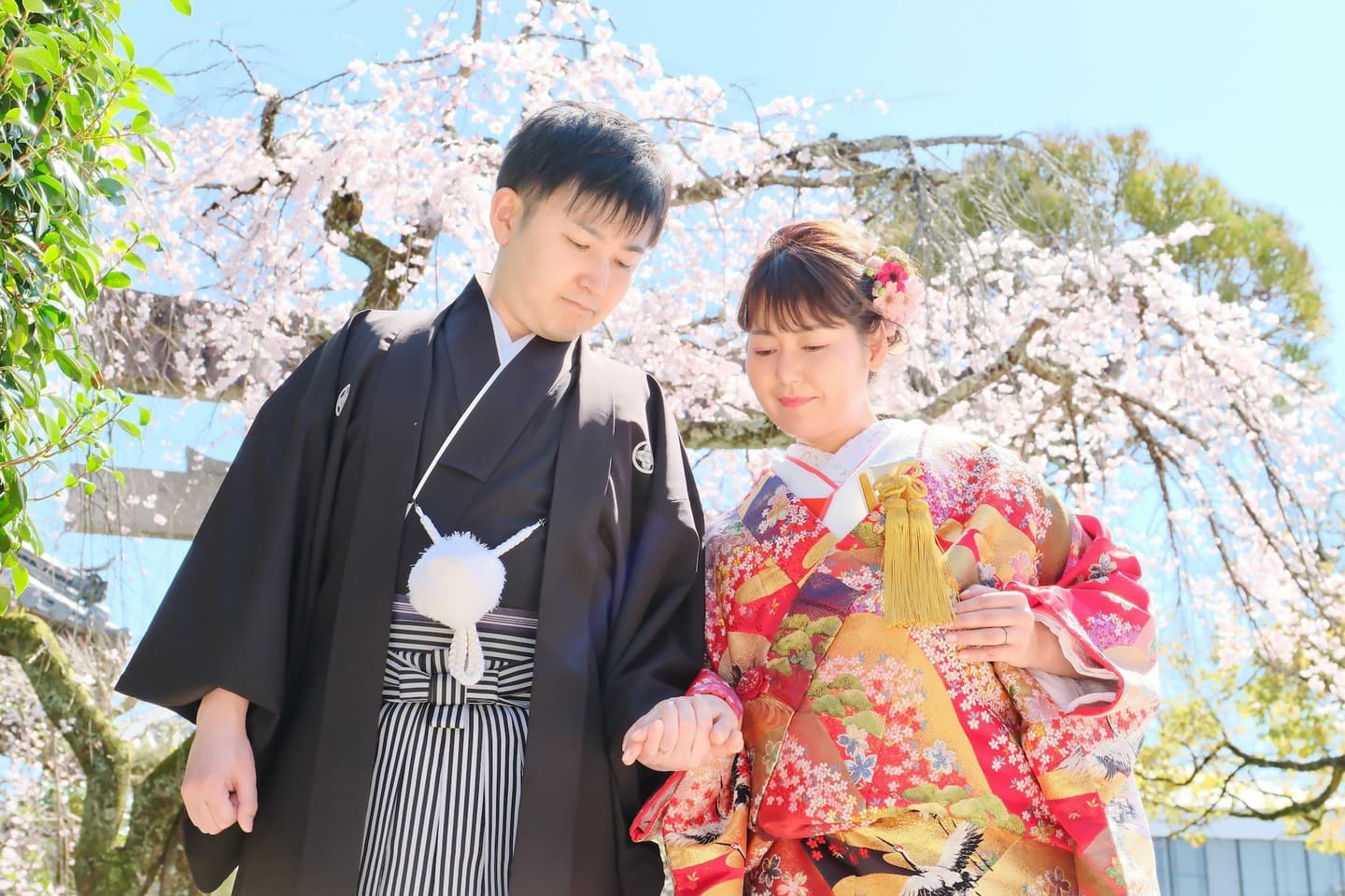 奈良の神社で和装前撮りフォトウェディングをしている新郎新婦