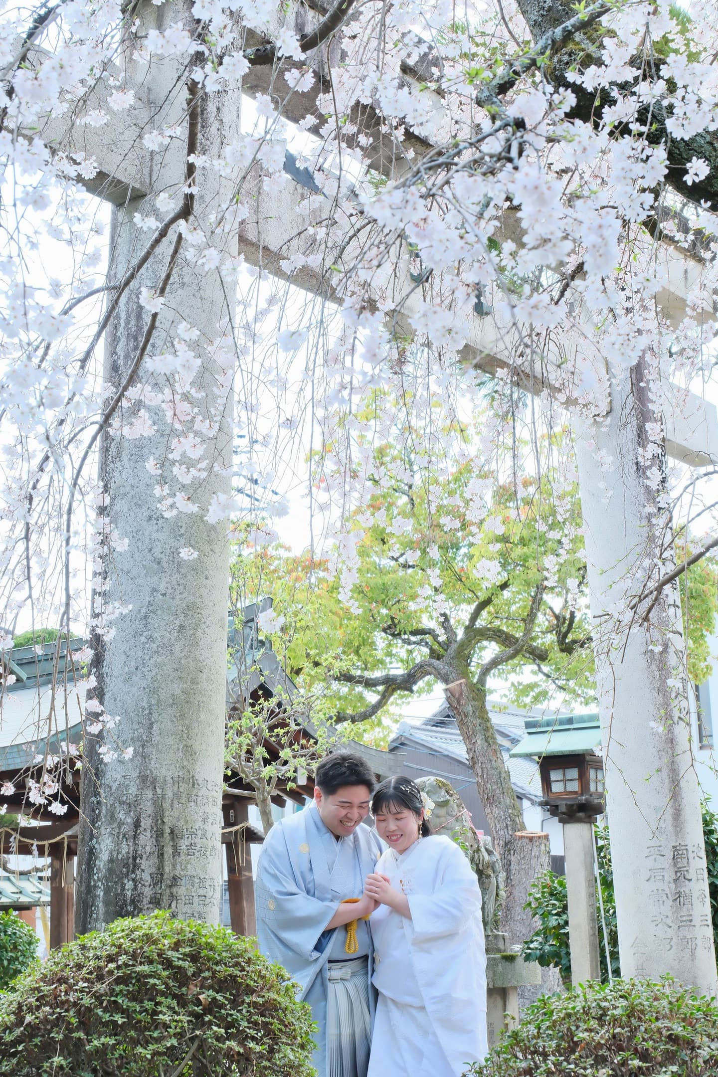 奈良の神社で和装前撮りフォトウェディングをしている新郎新婦
