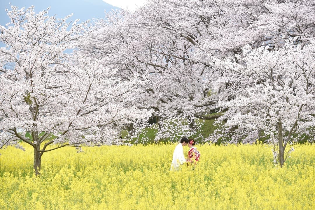 和装着物を着た花嫁様と紋付羽織袴の新郎様の写真