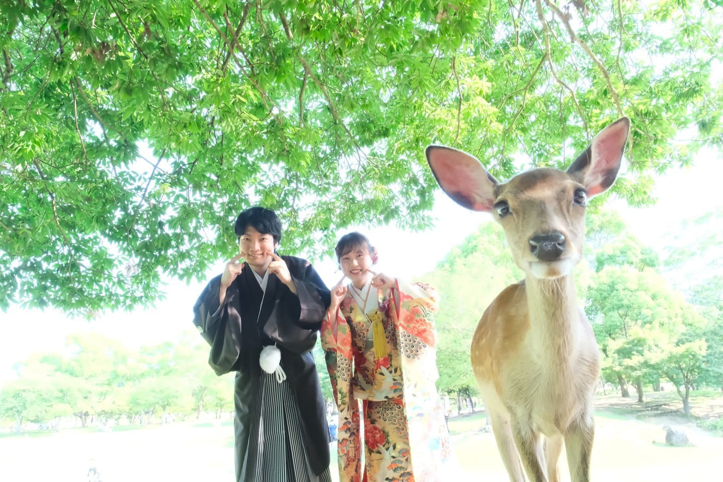 奈良の新緑で和装前撮りフォトウェディングの写真