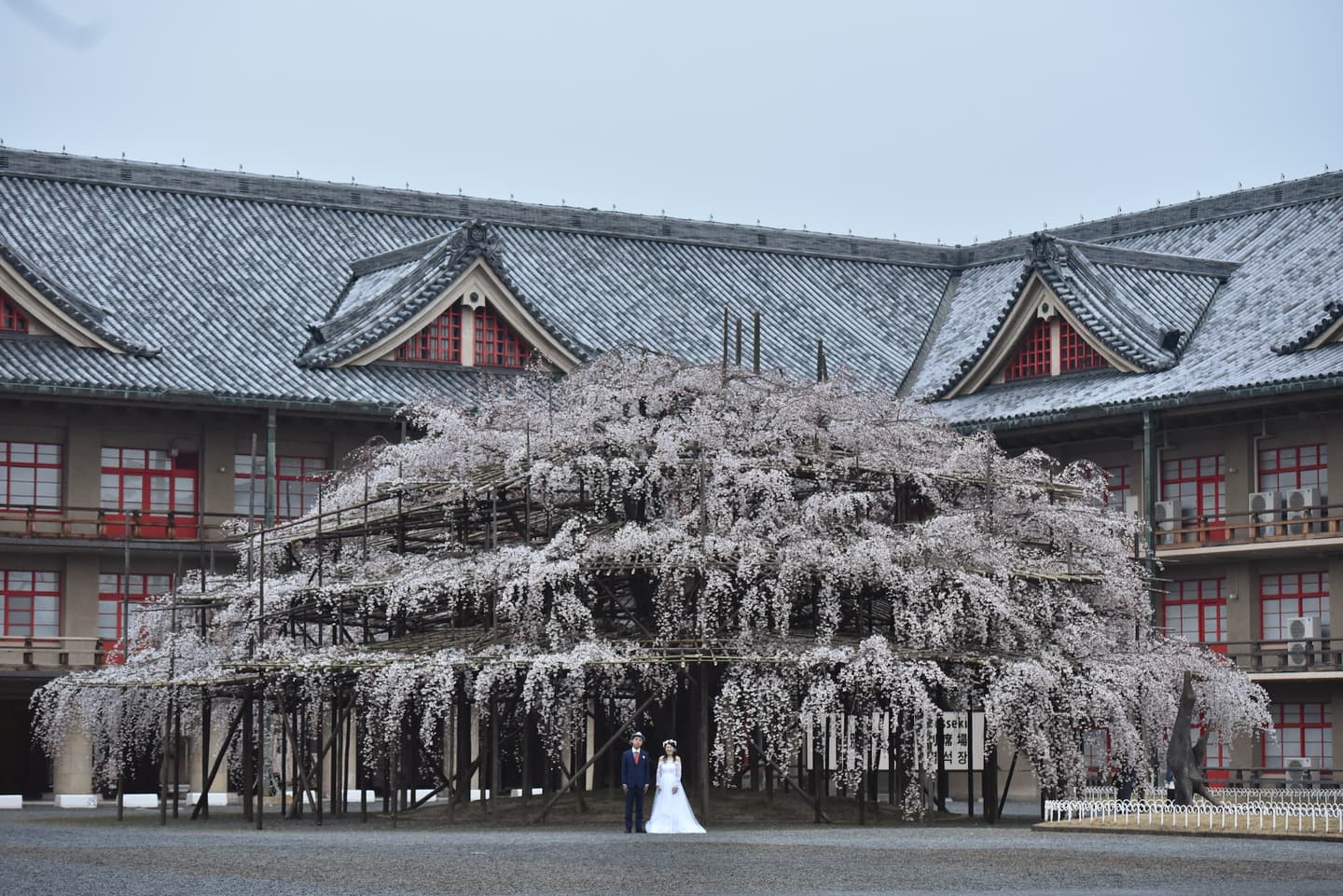 奈良でフォトウエディングの花嫁