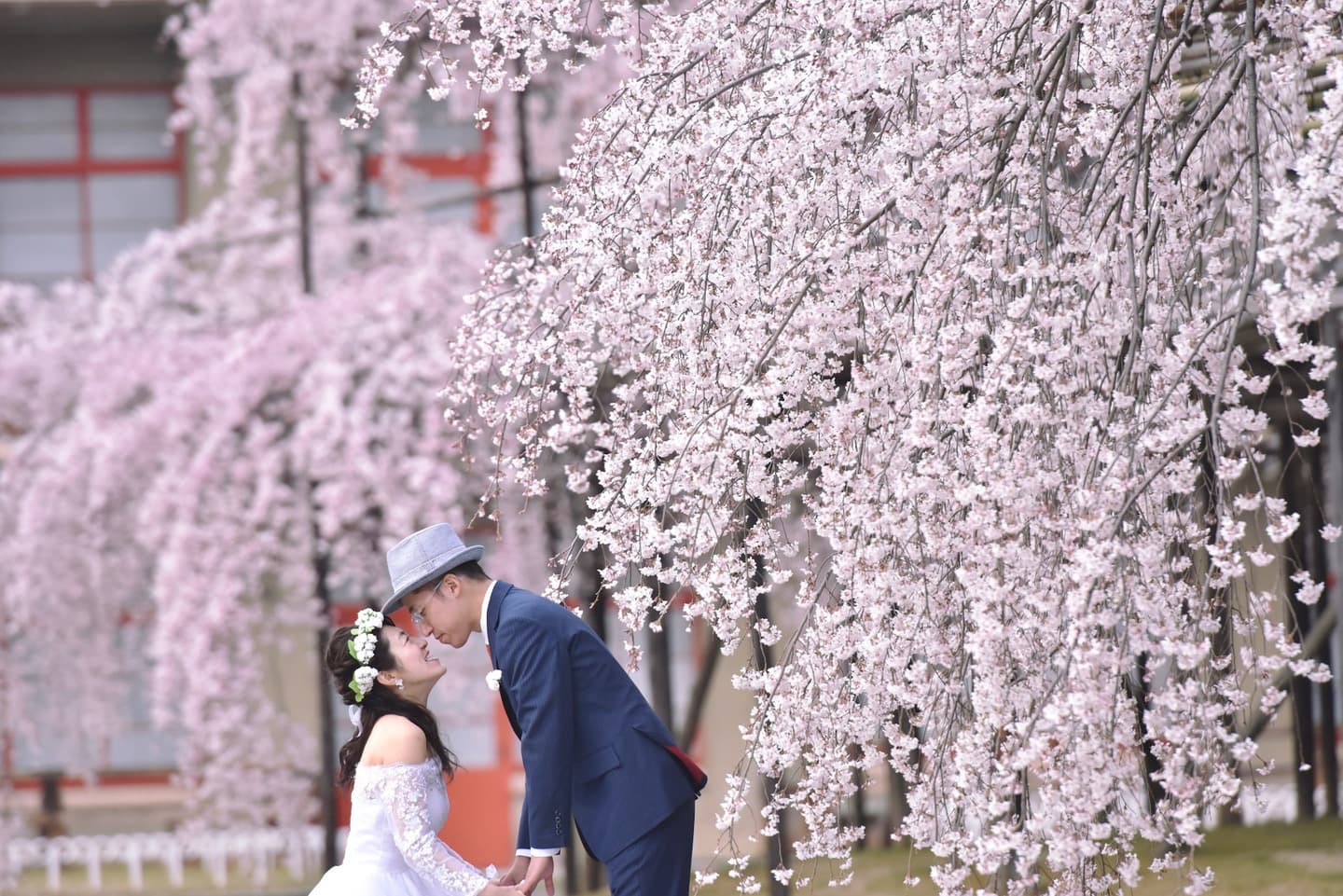 奈良でフォトウエディングの花嫁