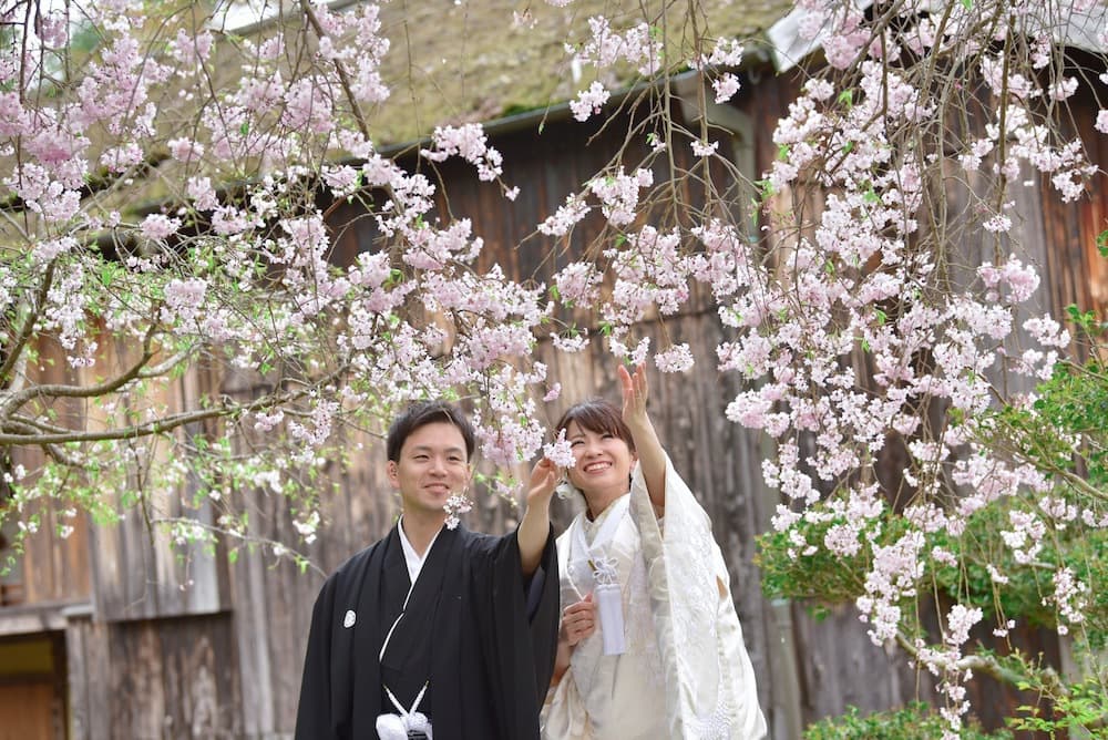 奈良の桜の前でフォトウェディングをしている新郎新婦