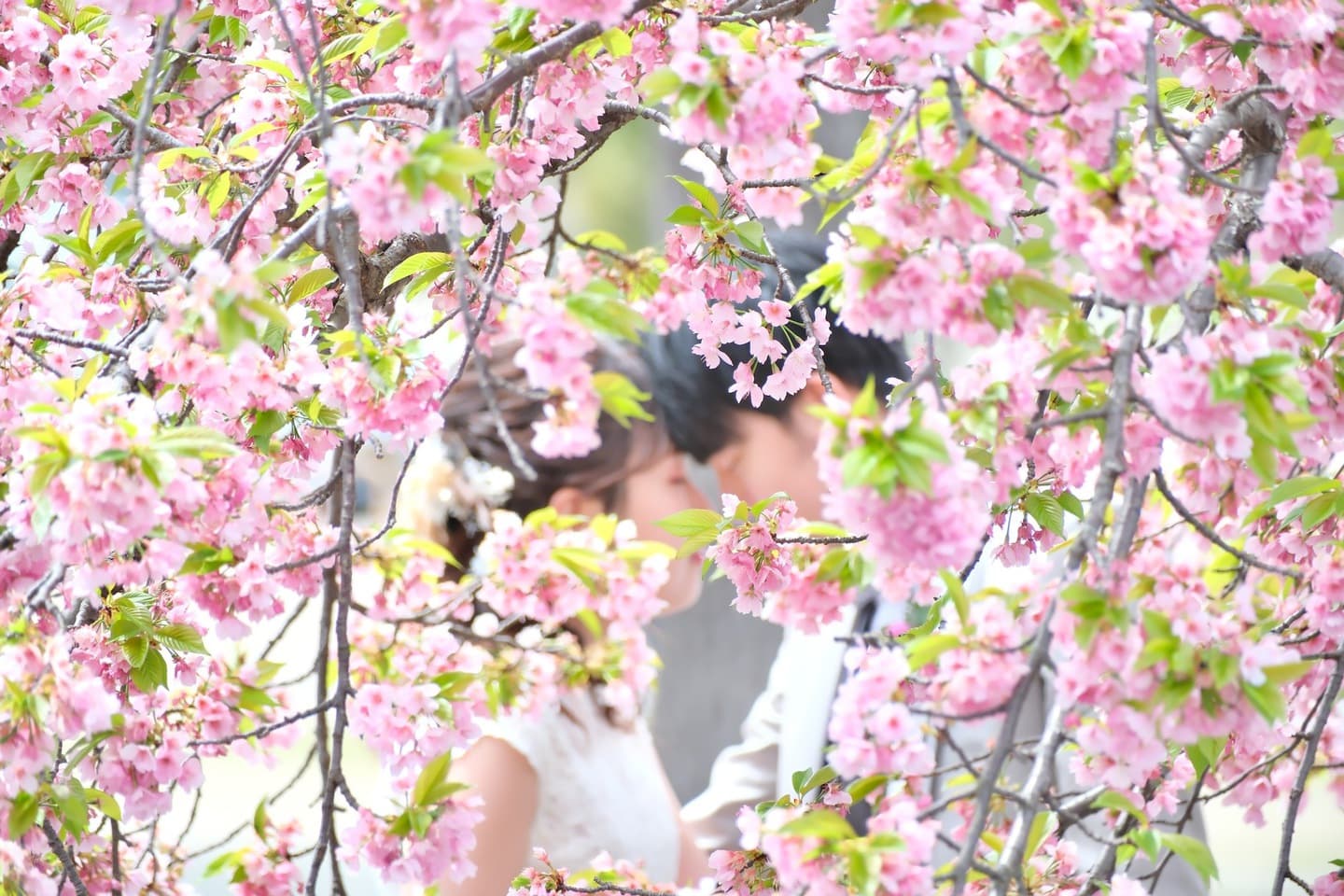 奈良でフォトウエディングの花嫁