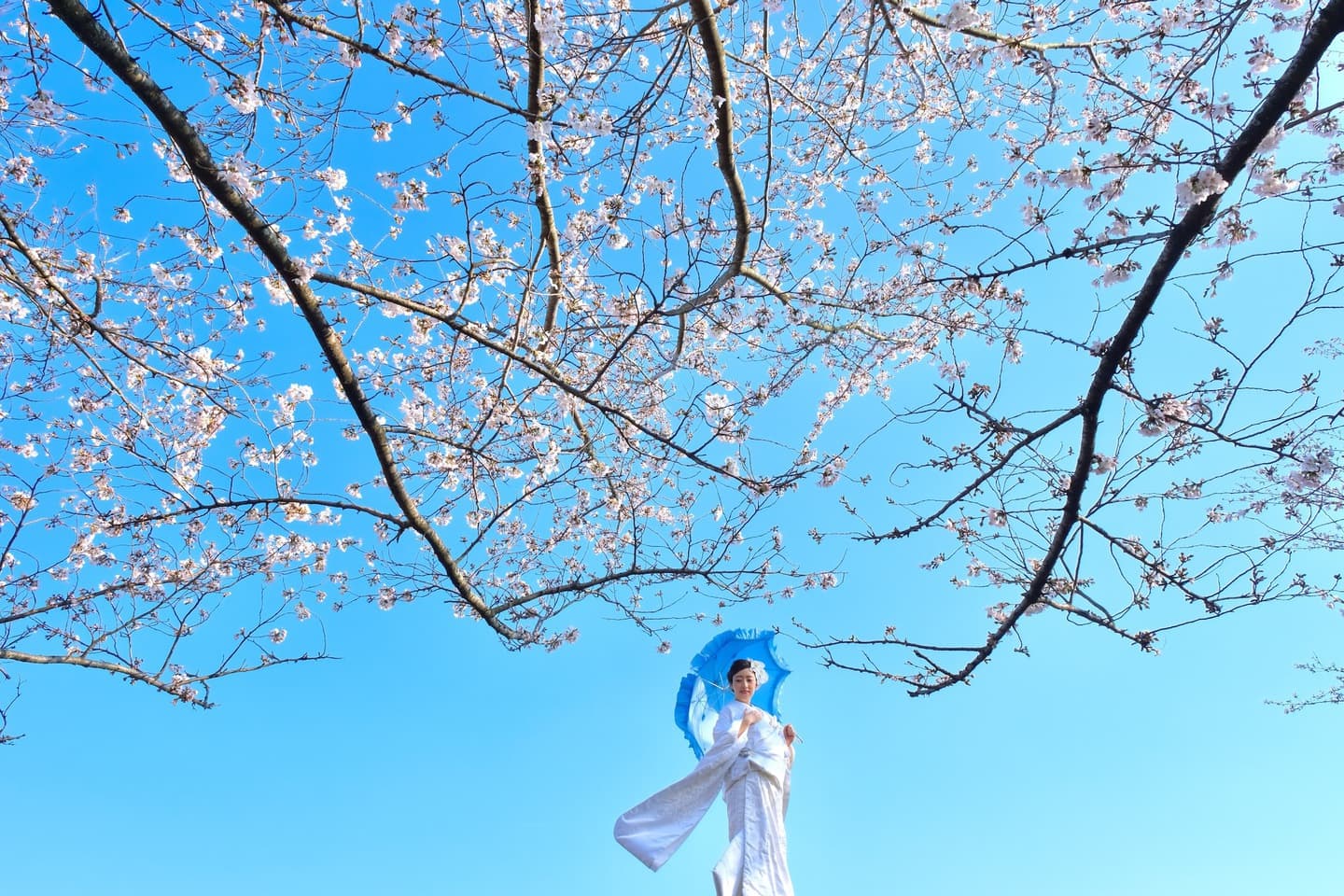 奈良でフォトウエディングの花嫁