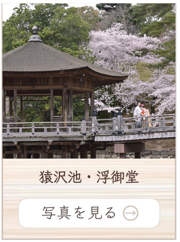 猿沢池での撮影料金