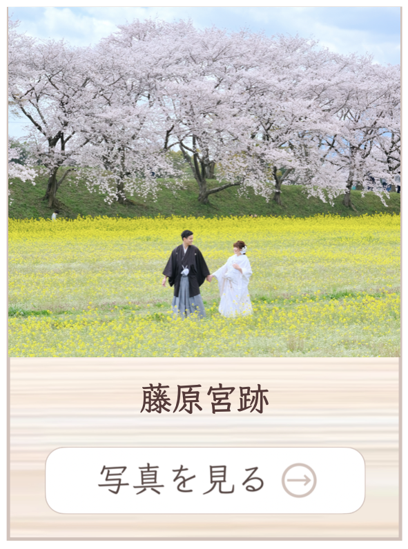 藤原宮跡での撮影料金