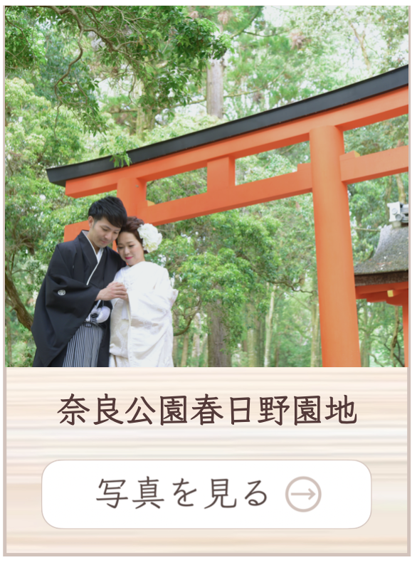 奈良公園の写真