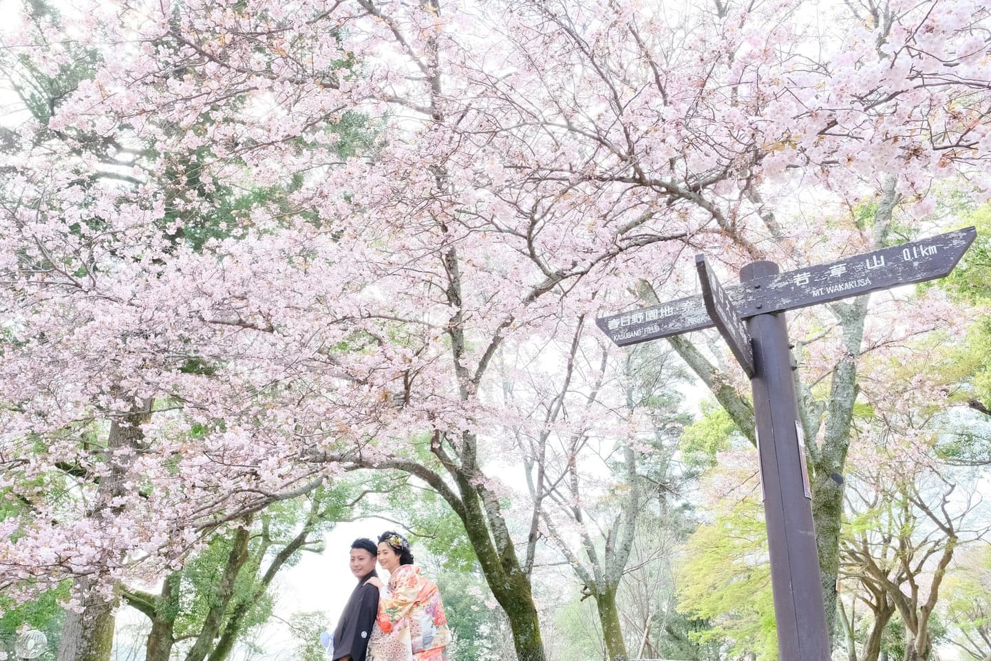 和装着物を着た花嫁様と紋付羽織袴の新郎様の写真