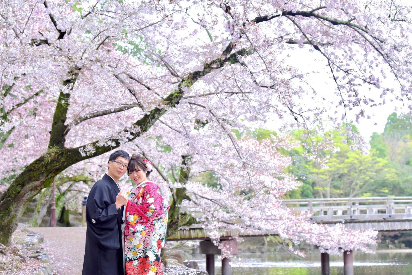 和装着物を着た花嫁様と紋付羽織袴の新郎様の写真