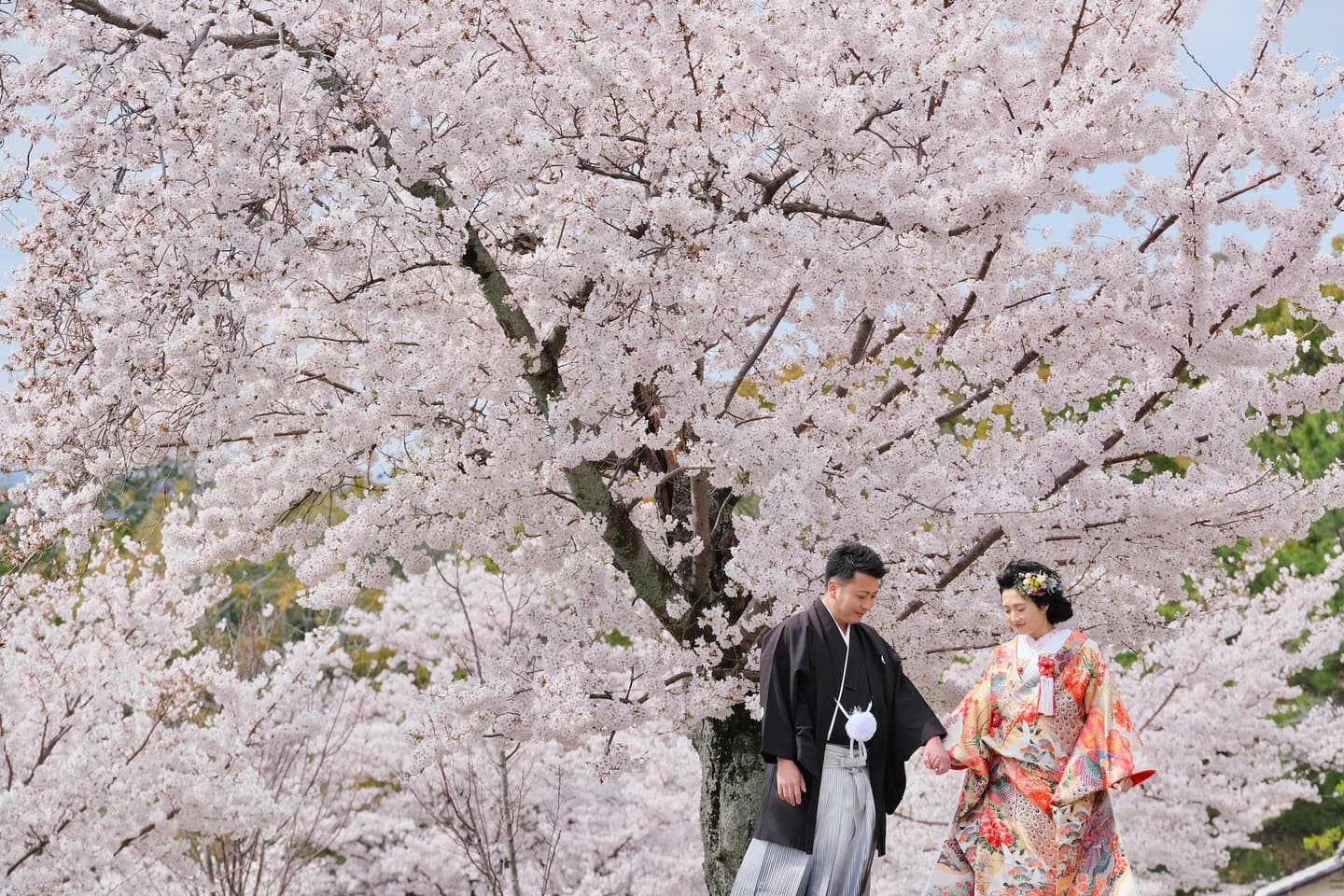 和装着物を着た花嫁様と紋付羽織袴の新郎様の写真