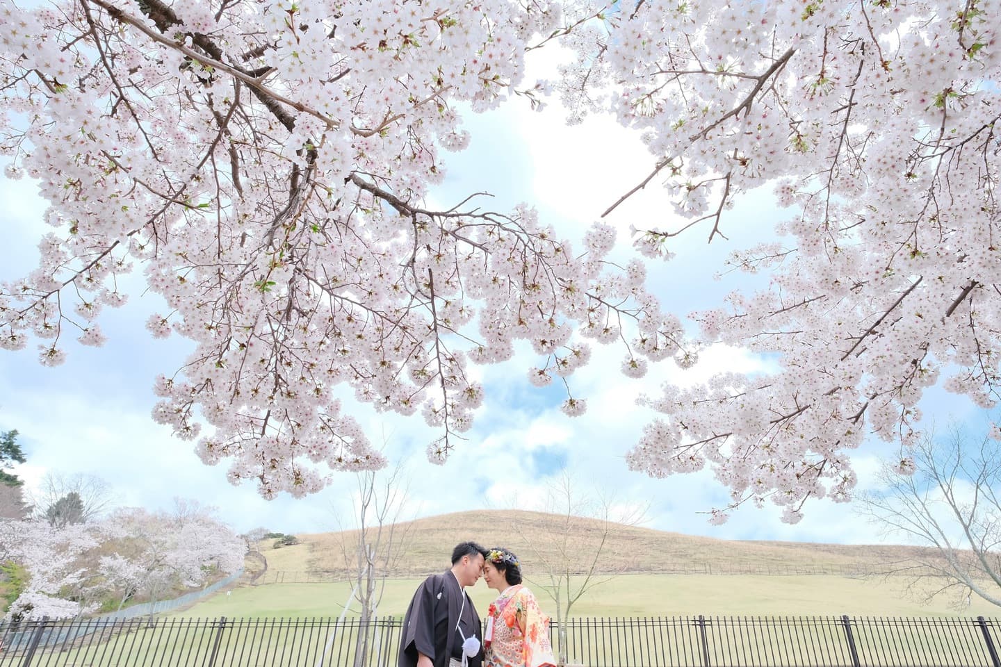和装着物を着た花嫁様と紋付羽織袴の新郎様の写真