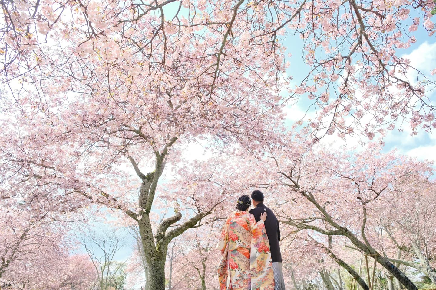 和装着物を着た花嫁様と紋付羽織袴の新郎様の写真