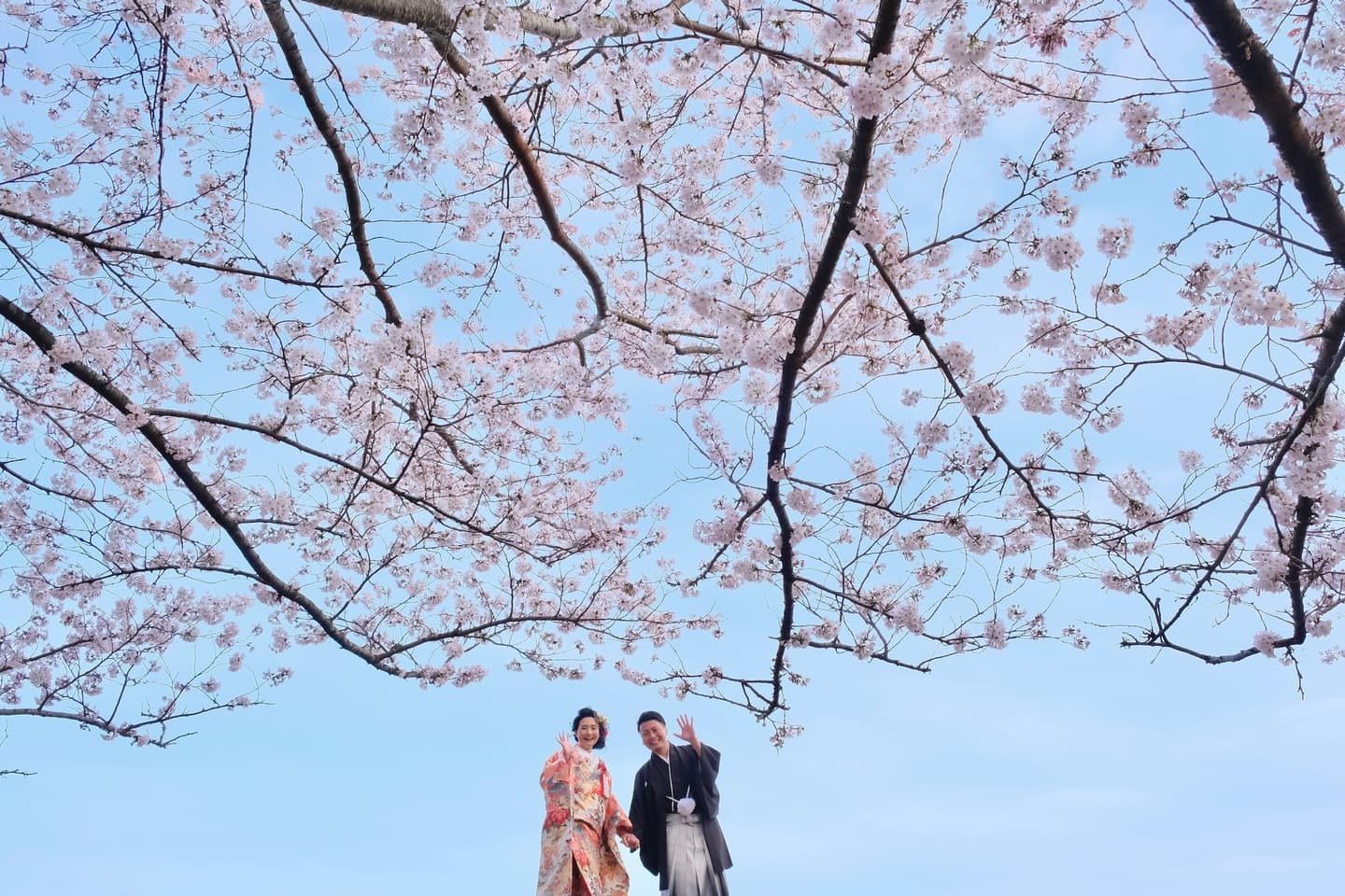 和装着物を着た花嫁様と紋付羽織袴の新郎様の写真