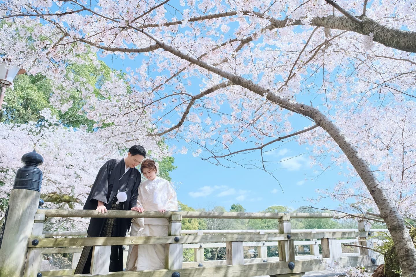 和装着物を着た花嫁様と紋付羽織袴の新郎様の写真