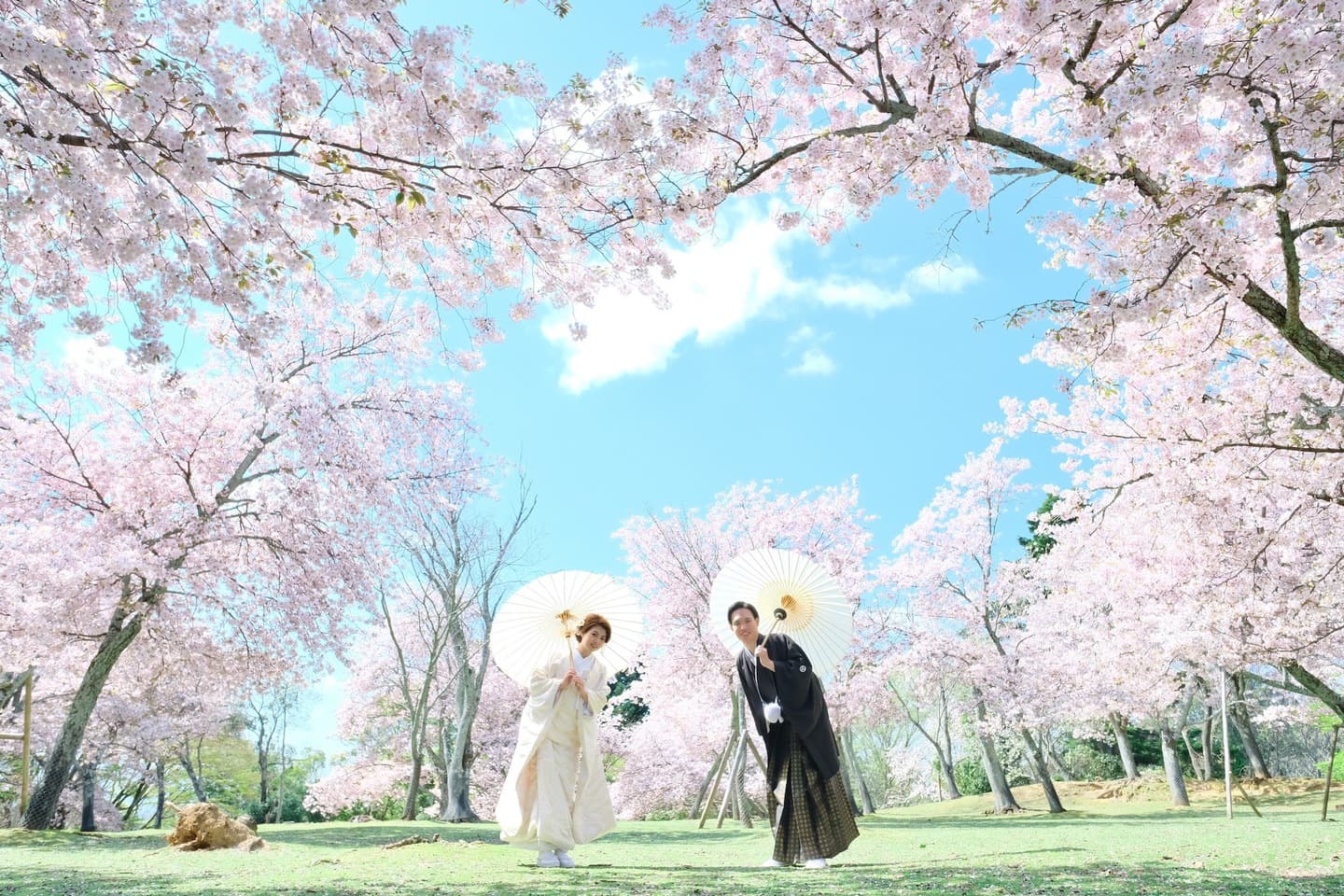 和装着物を着た花嫁様と紋付羽織袴の新郎様の写真