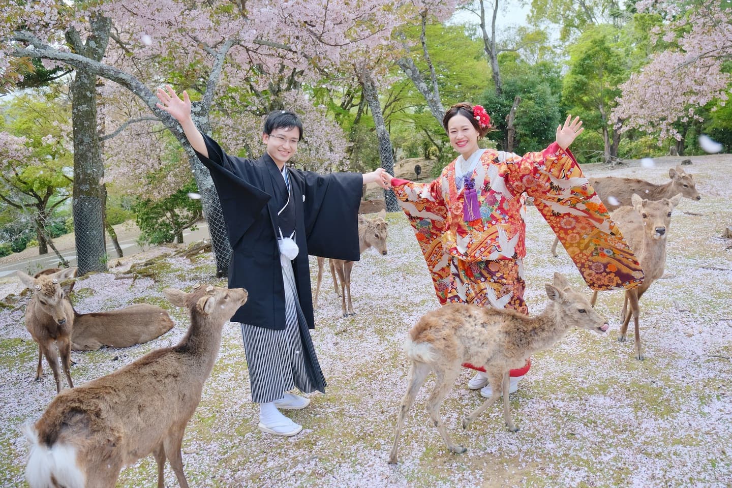 和装着物を着た花嫁様と紋付羽織袴の新郎様の写真