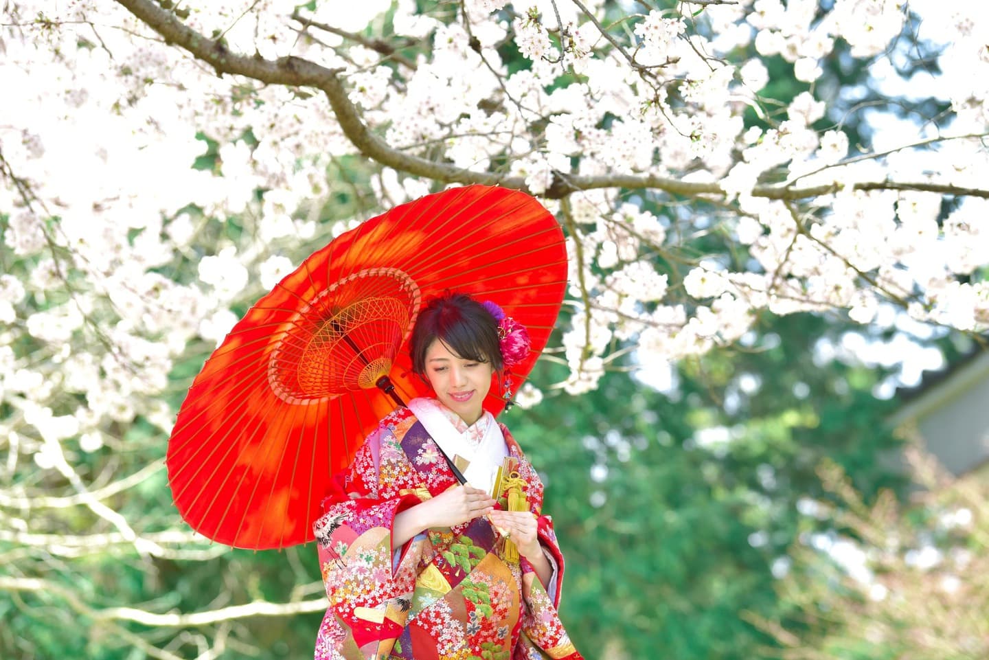 和装着物を着た花嫁様と紋付羽織袴の新郎様の写真