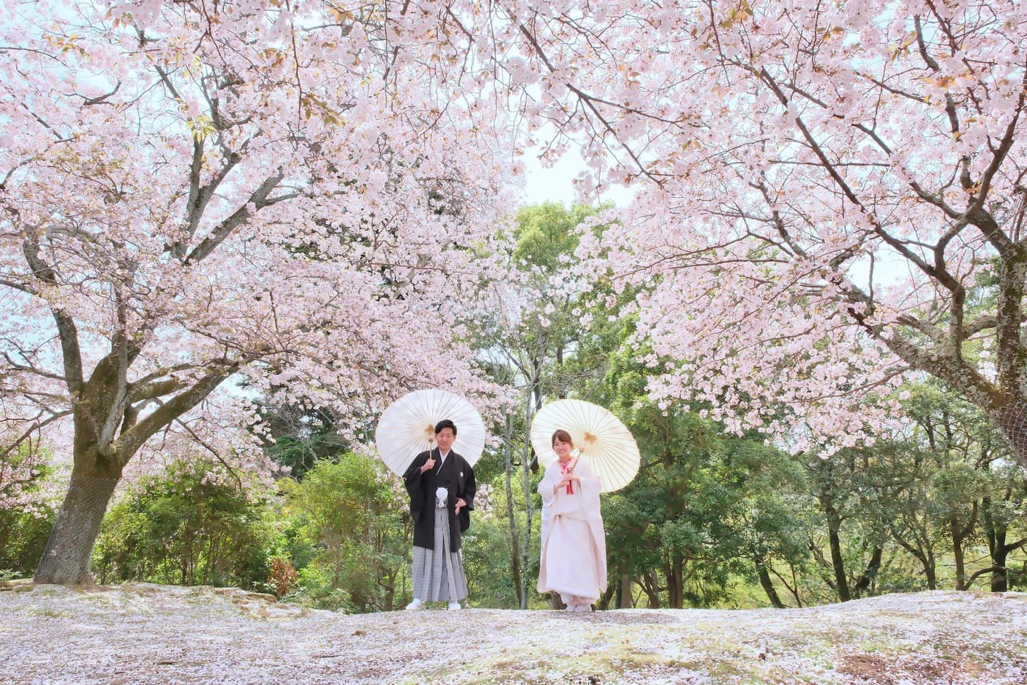 和装着物を着た花嫁様と紋付羽織袴の新郎様の写真