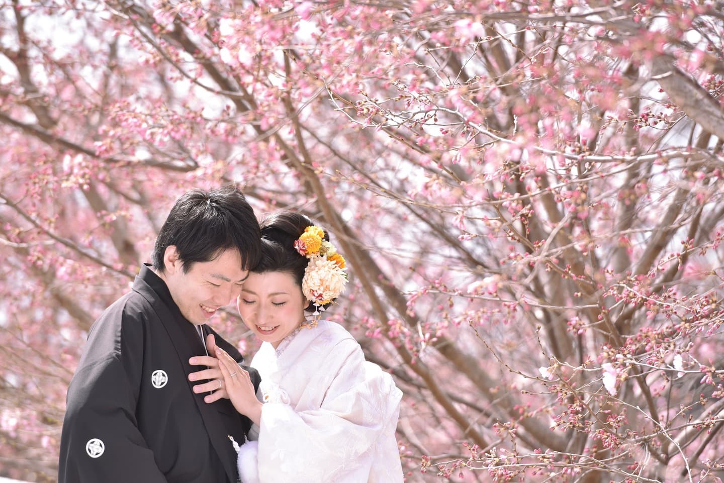 和装着物を着た花嫁様と紋付羽織袴の新郎様の写真