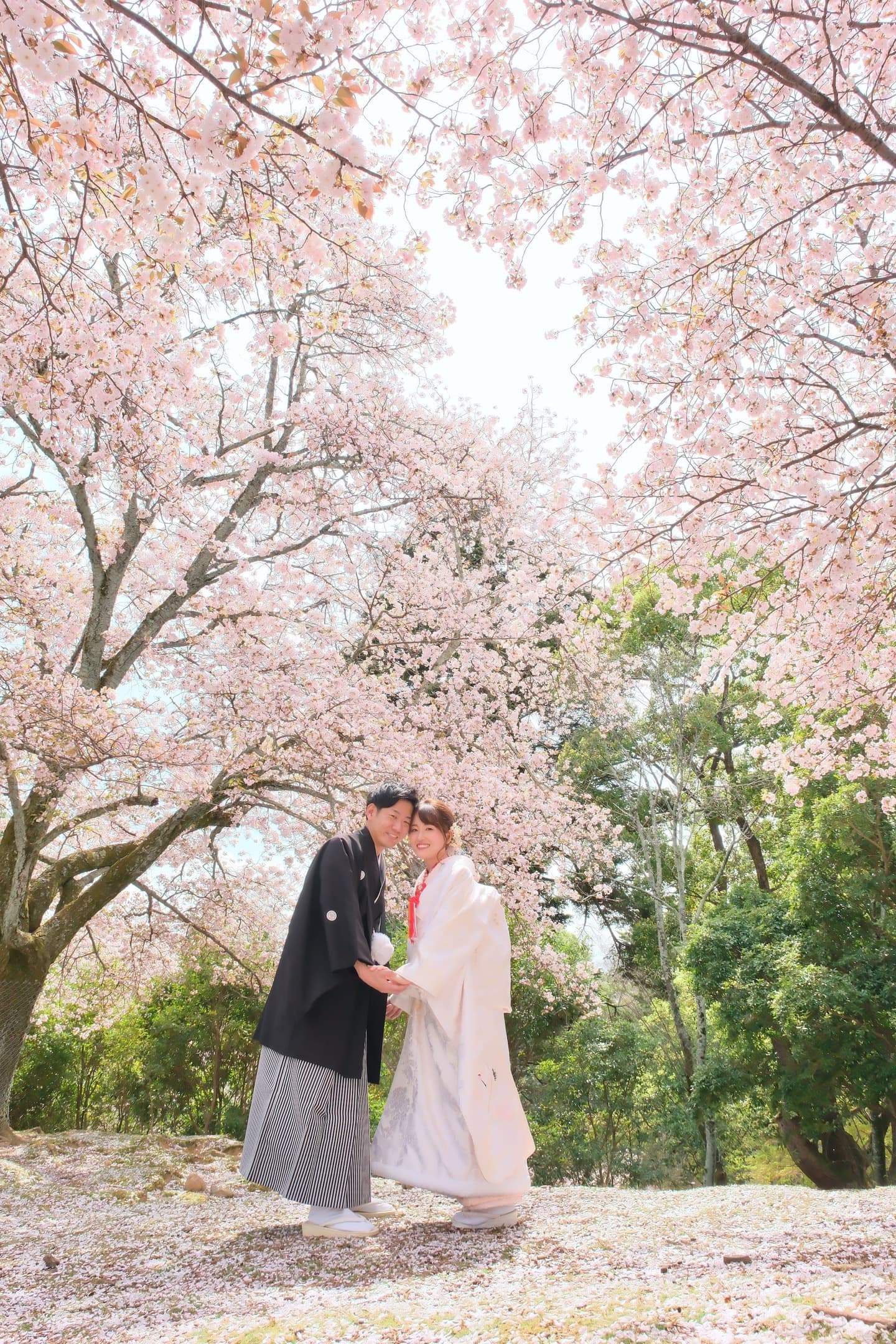和装着物を着た花嫁様と紋付羽織袴の新郎様の写真