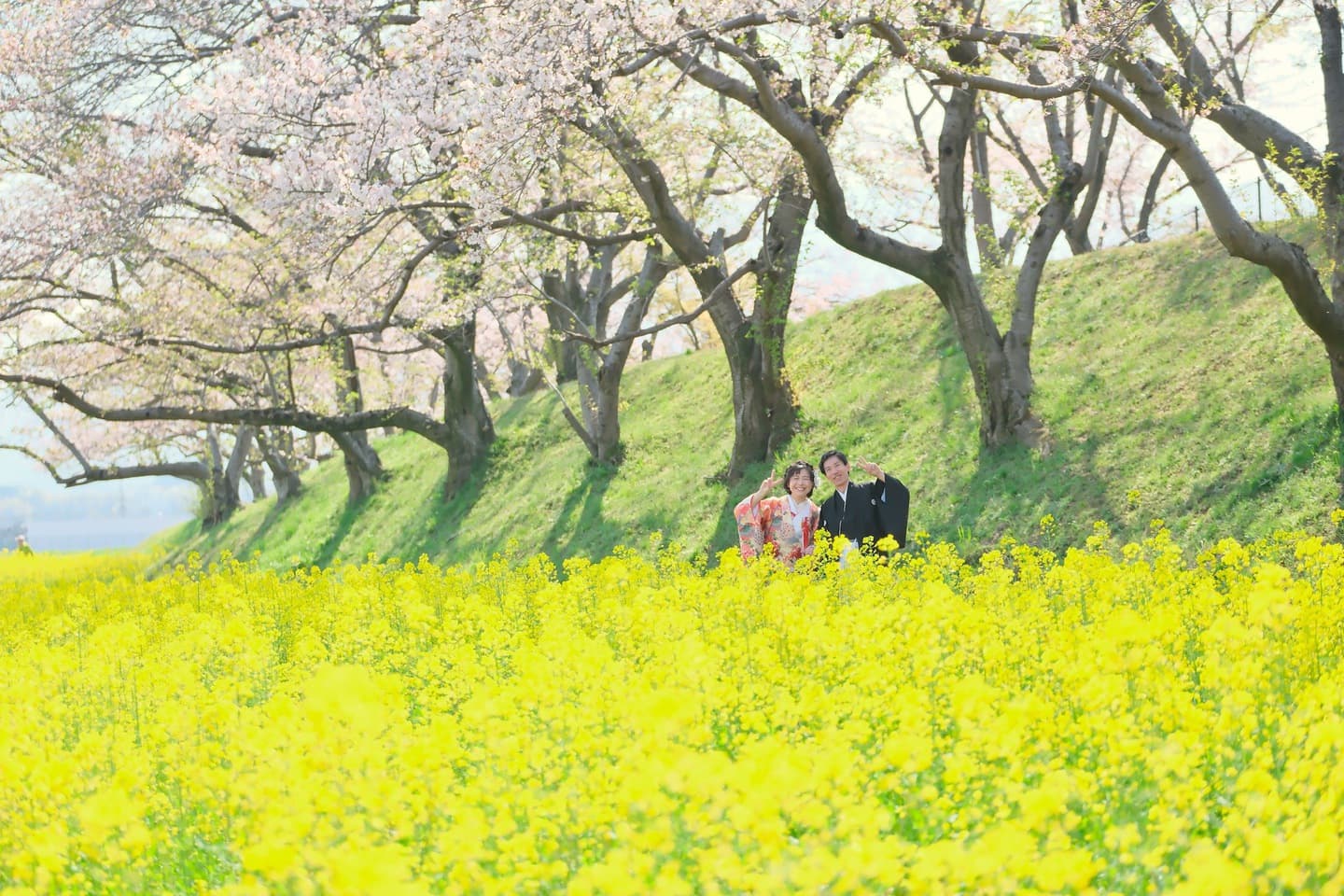 和装着物を着た花嫁様と紋付羽織袴の新郎様の写真