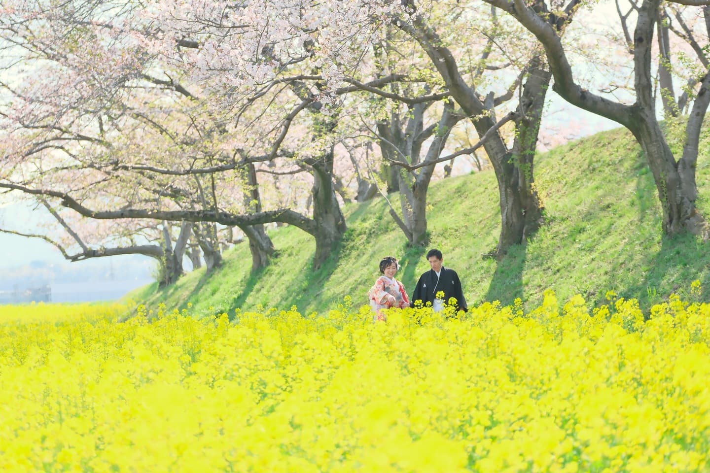 和装着物を着た花嫁様と紋付羽織袴の新郎様の写真