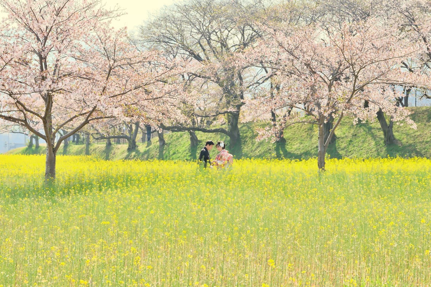 和装着物を着た花嫁様と紋付羽織袴の新郎様の写真