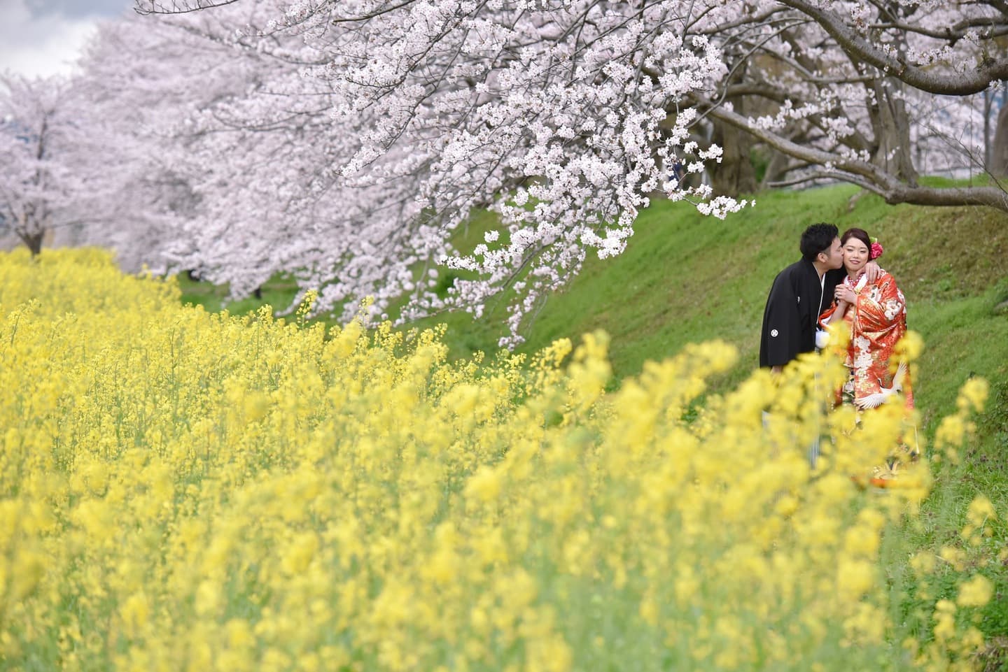 和装着物を着た花嫁様と紋付羽織袴の新郎様の写真