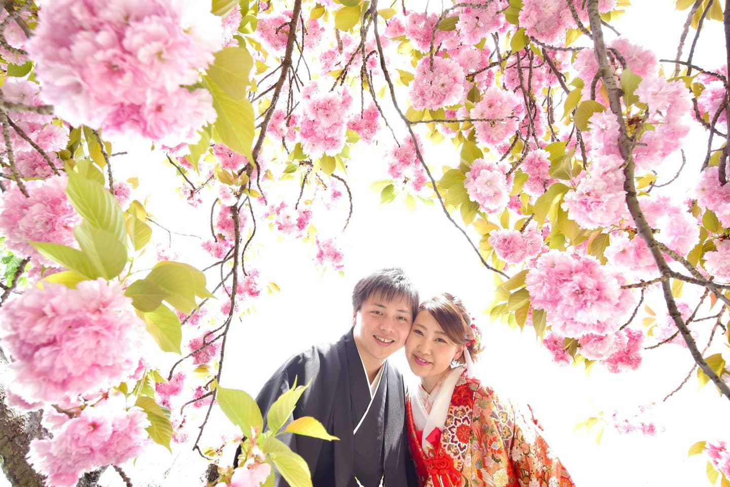 和装着物を着た花嫁様と紋付羽織袴の新郎様の写真