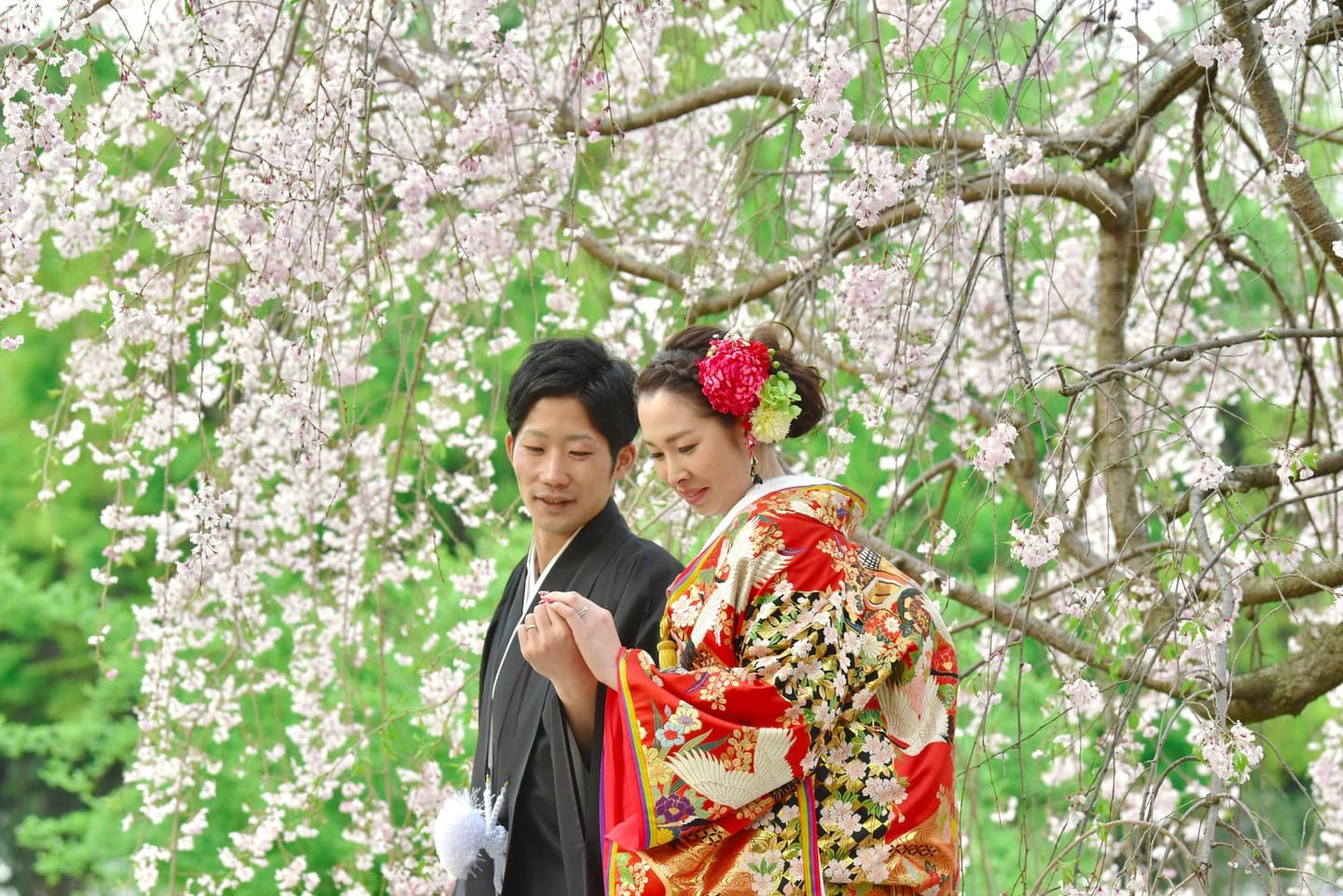 和装着物を着た花嫁様と紋付羽織袴の新郎様の写真