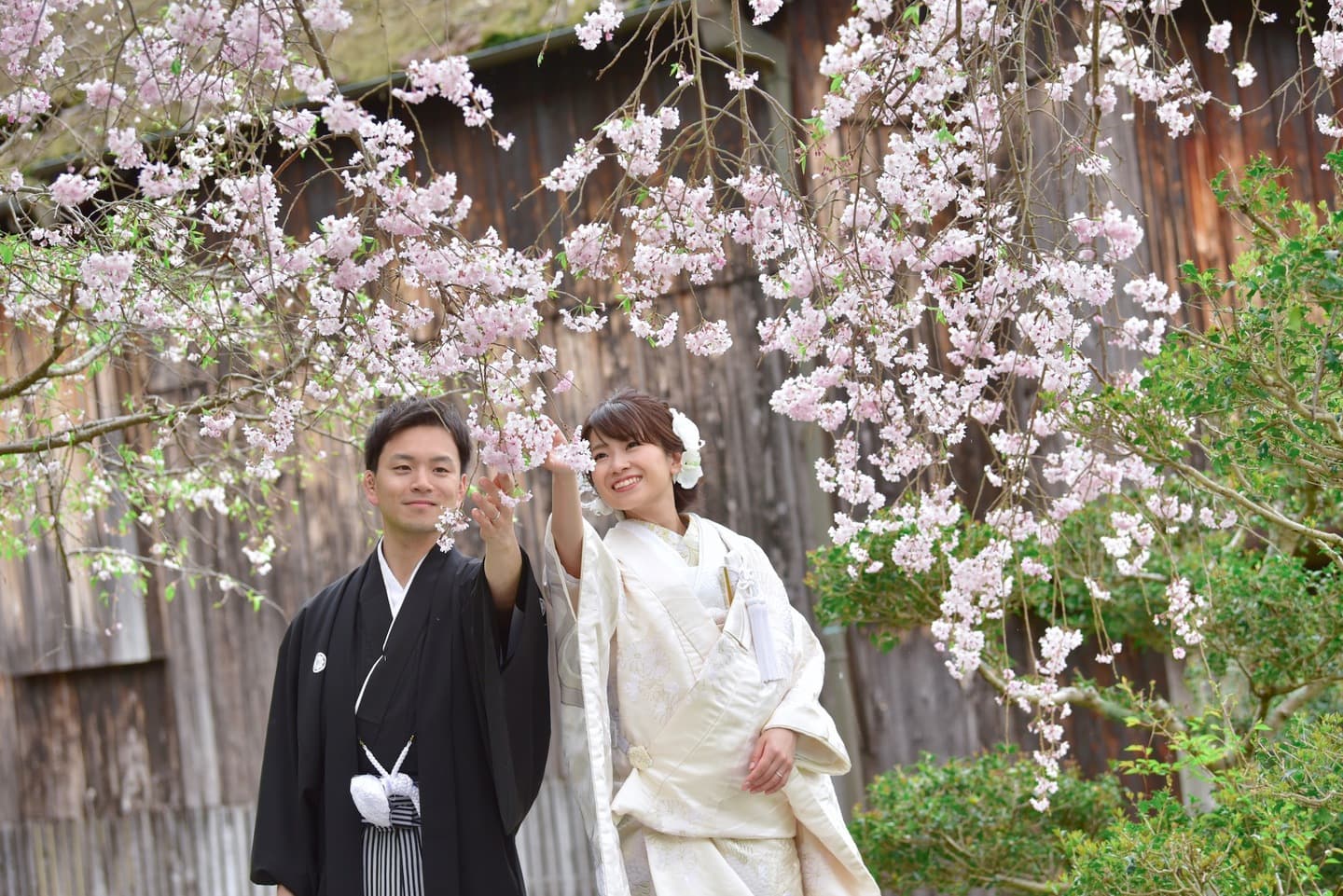 和装着物を着た花嫁様と紋付羽織袴の新郎様の写真