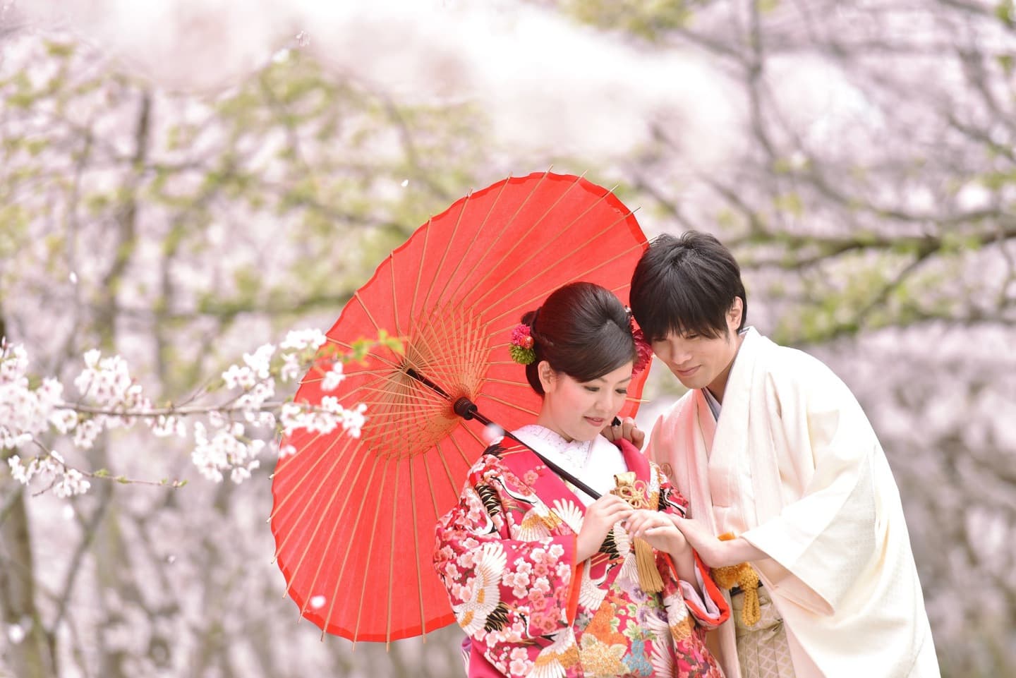 和装着物を着た花嫁様と紋付羽織袴の新郎様の写真